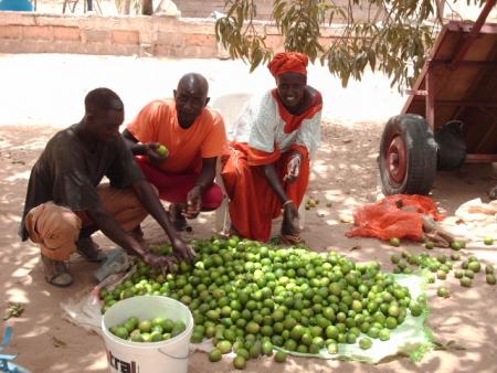 senegal